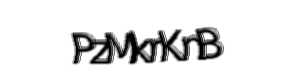 Security check image, please type the characters shown